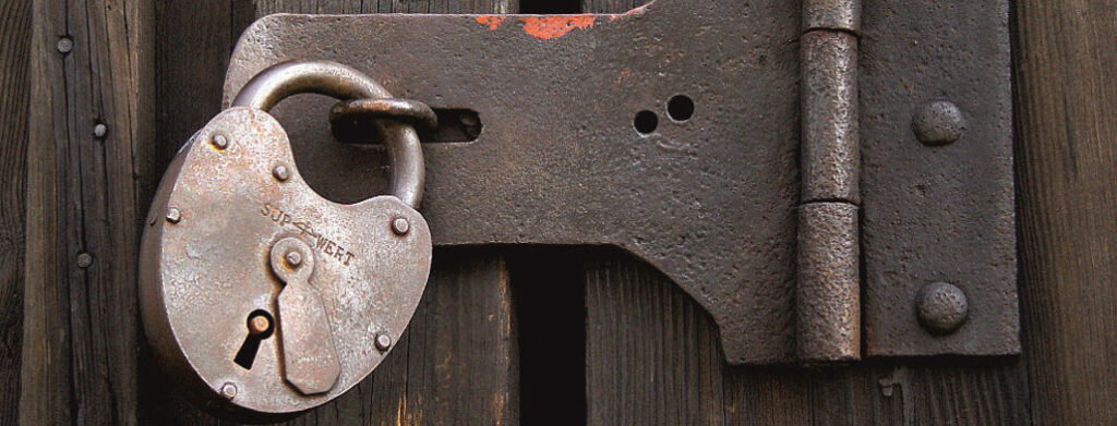 Тестовая новость 1